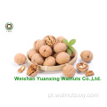 High Qulit Walnut jądra światła na sprzedaż